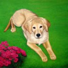 prtrait of pet dog 16x20 in. stretched Oil Painting Canvas Art Wall Decor modern007 prtrait of pet dog 16x20 in. stretched Oil Painting Canvas Art Wall Decor modern007