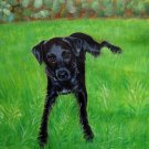 prtrait of pet dog 16x20 in. stretched Oil Painting Canvas Art Wall Decor modern012 prtrait of pet dog 16x20 in. stretched Oil Painting Canvas Art Wall Decor modern012
