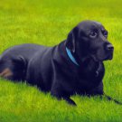 prtrait of pet dog 16x20 in. stretched Oil Painting Canvas Art Wall Decor modern015