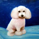 prtrait of pet dog 16x20 in. stretched Oil Painting Canvas Art Wall Decor modern018
