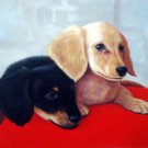 prtrait of pet dog 16x20 in. stretched Oil Painting Canvas Art Wall Decor modern021 prtrait of pet dog 16x20 in. stretched Oil Painting Canvas Art Wall Decor modern021