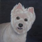 prtrait of pet dog 16x20 in. stretched Oil Painting Canvas Art Wall Decor modern024