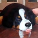 prtrait of pet dog 16x20 in. stretched Oil Painting Canvas Art Wall Decor modern029