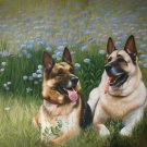 prtrait of pet dog 16x20 in. stretched Oil Painting Canvas Art Wall Decor modern031