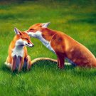 prtrait of fox 16x20 in. stretched Oil Painting Canvas Art Wall Decor modern001