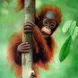 prtrait of Monkey 16x20 in. stretched Oil Painting Canvas Art Wall Decor modern001