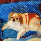 prtrait of pet dog 16x20 in. stretched Oil Painting Canvas Art Wall Decor modern035 prtrait of pet dog 16x20 in. stretched Oil Painting Canvas Art Wall Decor modern035