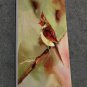 Bird Cardinal 12x24 in. stretched Oil Painting Canvas Art Wall Decor modern103