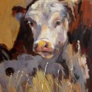 Cow 12x16 in. stretched Oil Painting Canvas Art Wall Decor modern509