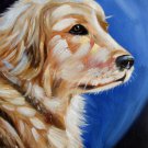 Dog 12x16 in. stretched Oil Painting Canvas Art Wall Decor modern002