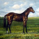 Horse 12x16 in. stretched Oil Painting Canvas Art Wall Decor modern101