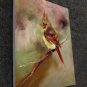 Bird Cardinal 12x16 in. stretched Oil Painting Canvas Art Wall Decor modern002