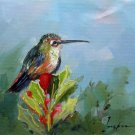 Hummingbird 12x16 in. stretched Oil Painting Canvas Art Wall Decor modern105