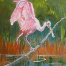 Hummingbird 12x16 in. stretched Oil Painting Canvas Art Wall Decor modern101