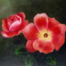 Rose 12x16 in. stretched Oil Painting Canvas Art Wall Decor modern004