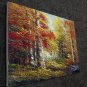 Trees 12x16 in. stretched Oil Painting Canvas Art Wall Decor modern009