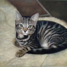 prtrait of pet cat 12x16 in. stretched Oil Painting Canvas Art Wall Decor modern004 prtrait of pet cat 12x16 in. stretched Oil Painting Canvas Art Wall Decor modern004