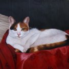 prtrait of pet cat 12x16 in. stretched Oil Painting Canvas Art Wall Decor modern005 prtrait of pet cat 12x16 in. stretched Oil Painting Canvas Art Wall Decor modern005