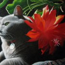 prtrait of pet cat 12x16 in. stretched Oil Painting Canvas Art Wall Decor modern012