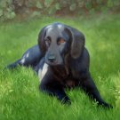 prtrait of pet dog 12x16 in. stretched Oil Painting Canvas Art Wall Decor modern005
