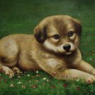 prtrait of pet dog 12x16 in. stretched Oil Painting Canvas Art Wall Decor modern008