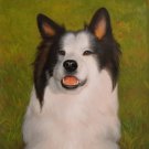 prtrait of pet dog 12x16 in. stretched Oil Painting Canvas Art Wall Decor modern016