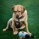 prtrait of pet dog 12x16 in. stretched Oil Painting Canvas Art Wall Decor modern017