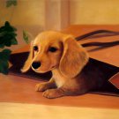 prtrait of pet dog 12x16 in. stretched Oil Painting Canvas Art Wall Decor modern019