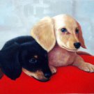 prtrait of pet dog 12x16 in. stretched Oil Painting Canvas Art Wall Decor modern021