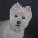 prtrait of pet dog 12x16 in. stretched Oil Painting Canvas Art Wall Decor modern024