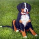 prtrait of pet dog 12x16 in. stretched Oil Painting Canvas Art Wall Decor modern030