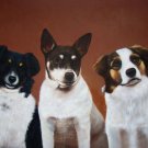 prtrait of pet dog 12x16 in. stretched Oil Painting Canvas Art Wall Decor modern032