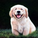 prtrait of pet dog 12x16 in. stretched Oil Painting Canvas Art Wall Decor modern035