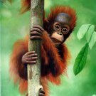 prtrait of Monkey 12x16 in. stretched Oil Painting Canvas Art Wall Decor modern001