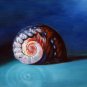 Conch 12x16 in. stretched Oil Painting Canvas Art Wall Decor modern001