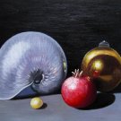 Conch 12x16 in. stretched Oil Painting Canvas Art Wall Decor modern002