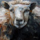 Sheep 12x12 in. stretched Oil Painting Canvas Art Wall Decor modern306