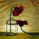 Daisys 12x12 in. stretched Oil Painting Canvas Art Wall Decor modern01D