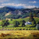 Landscape 36x48 in.  Oil Painting Canvas Art Wall Decor modern021