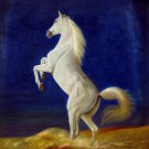 Horse 39.5x39.5 in.  Oil Painting Canvas Art Wall Decor modern201
