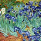 Rep. Vencent Van Gogh 28x36 in.  Oil Painting Canvas Art Wall Decor modern501