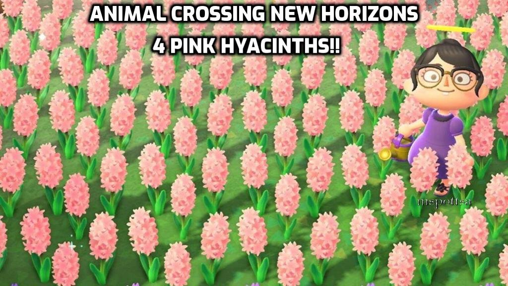 4 Pink Hyacinths Hybrid Flowers Bundle Lot - Animal Crossing New