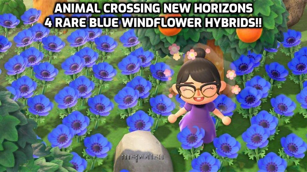 4 Blue Windflowers Hybrid Flowers Bundle Lot Animal Crossing New