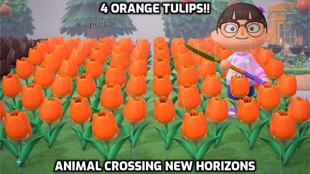 4 Orange Tulips Hybrid Flowers Bundle Lot Animal Crossing New Horizons ACNH