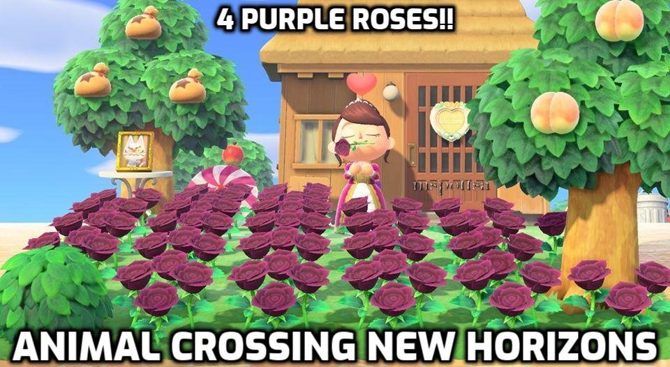 4 Purple Roses Hybrid Flowers Bundle Lot Animal Crossing New Horizons ACNH