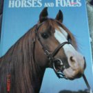 Natural Library of Color - Horses & Foals