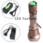 UV LED High Quality 365nm Flashlight