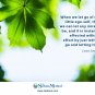 Ultimate Freedom Course Sedona Method + selection from 365 releases Hale Dwoskin
