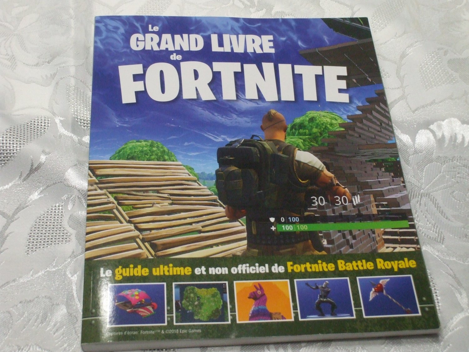 Le Grand Livre de Fortnite Paperback