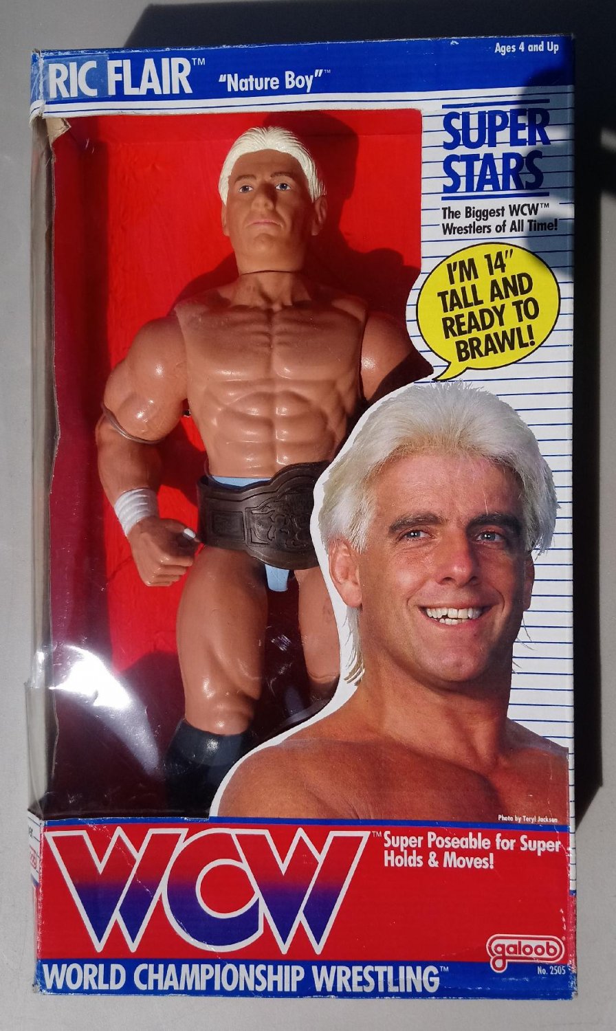 wwf hasbro ric flair